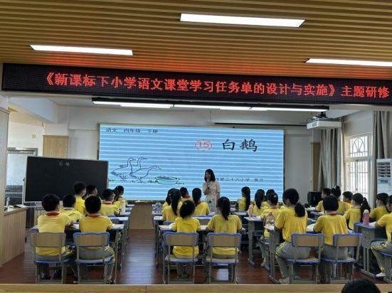 简篇-研读“双新”，提升质量——琼山第五小学基地校培训活动纪实